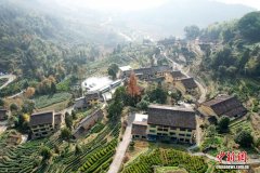 东西问丨郑永年：中东资本涌